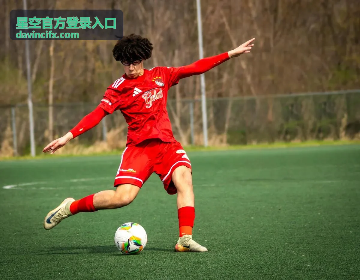 星空官方登录入口的登录记录与设备状态列表